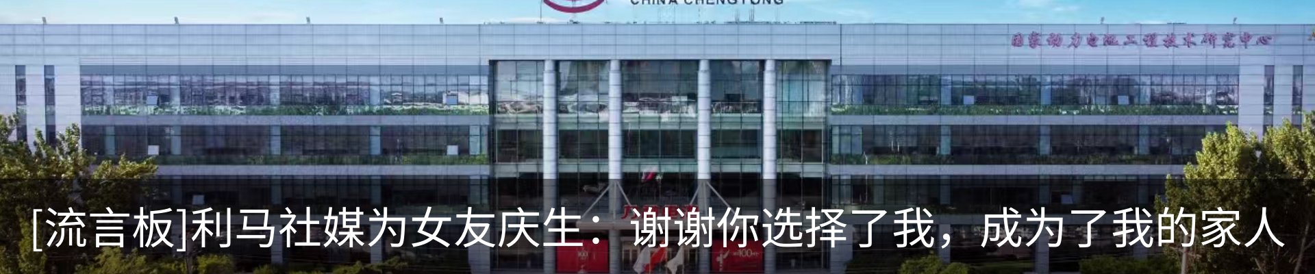 新闻动态